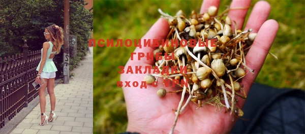 стафф Алексеевка