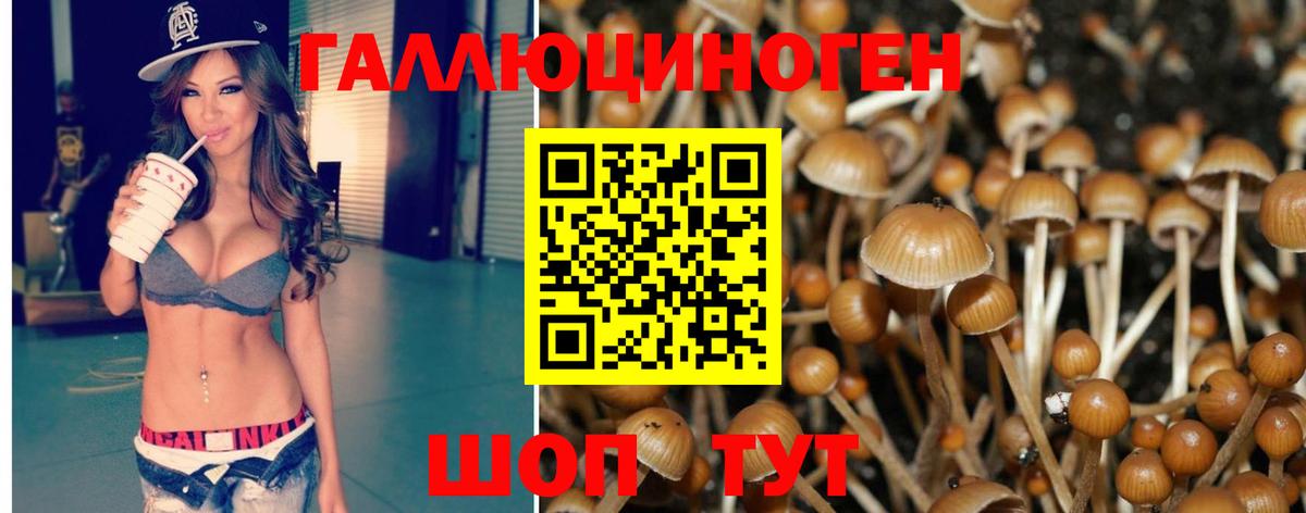 Псилоцибиновые грибы GOLDEN TEACHER Саянск
