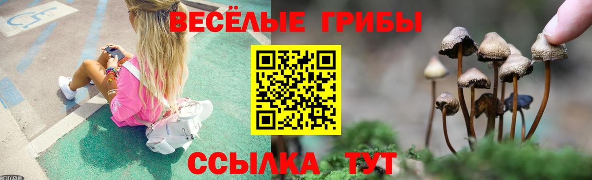 Саянск  Галлюциногенные грибы Psilocybe  даркнет сайт  Вход с VPN 